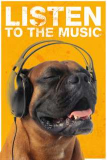Listen To The Music   Dog Poster   61x91.5cm  