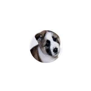 Akita Puppy Dog 1in Mini Magnet Q0005