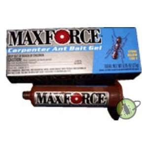    Box of 2 Maxforce Carpenter Ant Bait 0.95 oz 