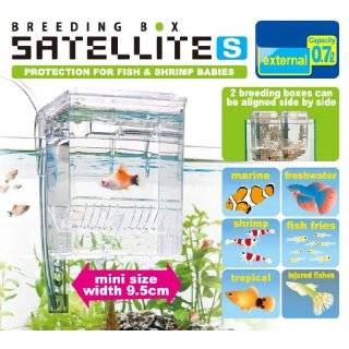   / Hang On Plastic Aquarium Fish Breeding Box Satellite S (new
