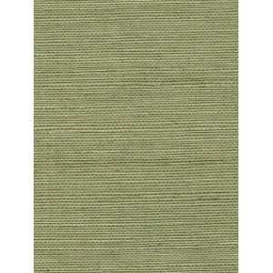  Wallpaper Astek Grasscloth & textures V AtX239