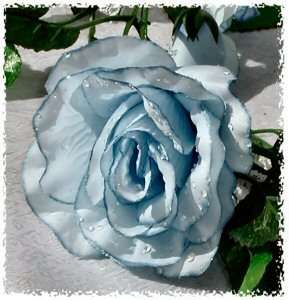 LIGHT BLUE Rose Garland ~ Silk Wedding Flowers Arch Gazebo Reception 