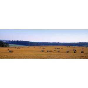  Hay Bales in a Field, Bohemia, Czech Republic Photographic 