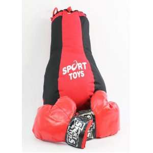   Punching Bag Set with Gloves for Kids boxing set