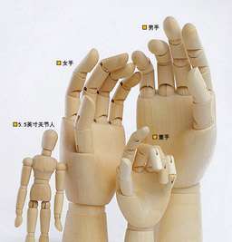 it is a 17 5 cm wooden hand models of a child the design is according 