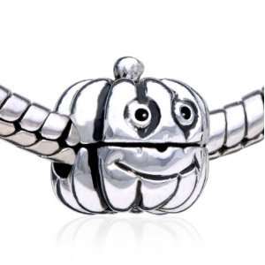   Charm Bead Fits Pandora Chamilia Charms Bracelet Pugster Jewelry