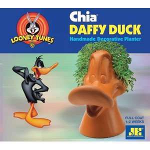  Chia Pet Decorative Indoor Pottery Planter ~ Daffy Duck 