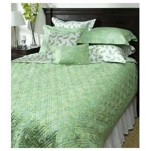  Chandler Bedding Keylime Paisley Decorative Pillow Sham 