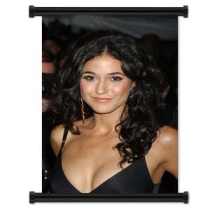  Emmanuelle Chriqui Fabric Wall Scroll Poster (16x24 