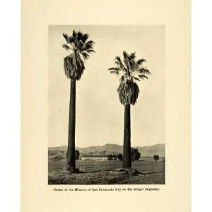 1906 Print Palm Trees Mission San Fernando Rey Espana 