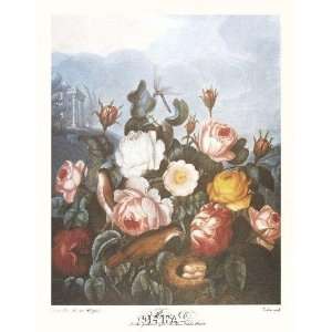  Group Of Roses By Robert John Thornton, Md Highest Quality 