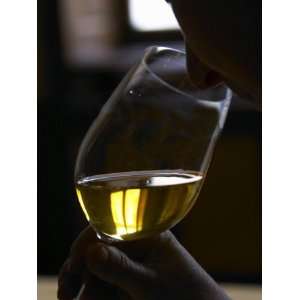 Person Holding Glass of Golden White Burgundy Wine, Maison Louis Jadot 