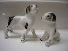 vintage miniature set gloss bone china english springer spaniel dog