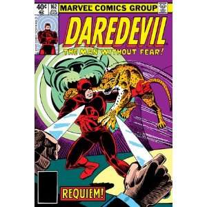   #162 Cover Daredevil Fighting by Steve Ditko, 48x72