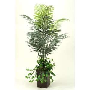  7 Dwarf Areca Palm in Square Metal Planter with Ivy 