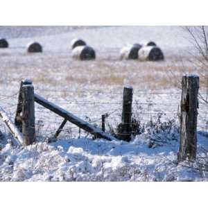  Picturesque Winter Scene of a Field and Fence Posts with 