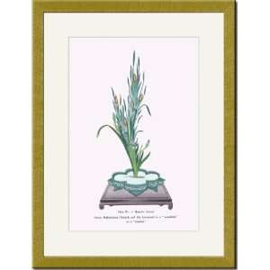 Gold Framed/Matted Print 17x23, Gama and Kakitsubata (Bulrush And Iris 