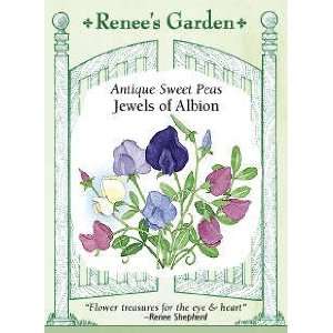  Sweet Pea   Jewels of Albion Seeds Patio, Lawn & Garden