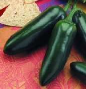 Pepper, Jalapeno Goliath, 4 live plants, Vegetables  