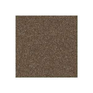 Mohawk Industries 7939507 Nutmeg Horizon Clairemore Timberline Carpet 