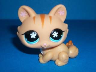 Littlest Pet Shop Orange Striped Tabby Kitty Cat #649  