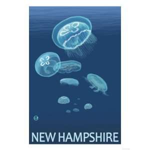  New Hampshire   Jellyfish Scene Giclee Poster Print, 24x32 