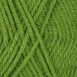   Canadiana Yarn (10712) Lime Juice By The Each Arts, Crafts & Sewing