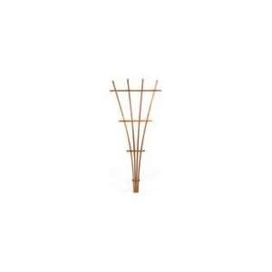  Best Quality Open Fan Trellis / Heartwood Size 4 Foot By 