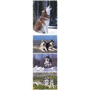   Siberian Husky Dog Scrapbook Stickers (31045) Arts, Crafts & Sewing