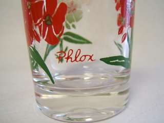 Peanut Butter Glass Phlox Red & White Flowers Red Name  