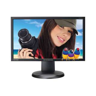   10001 14ms DVI LCD Monitor (Black), w/ 5 Port USB Hub/IPS panel