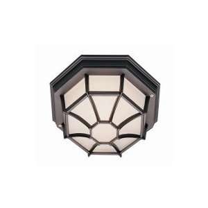  1 Light Outdoor Ceiling Light by Trans Globe Lighting Patio 