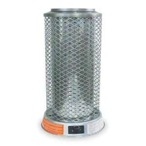   Dayton 1WVL8 Gas Fired Radiant Heater, Portable, NG