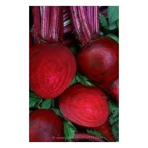  Detroit Dark Red Beets  1# Full Pound of Bulk Vegetable 