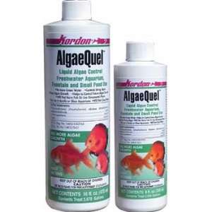  Algaequel 16oz For Ponds And Aquariums
