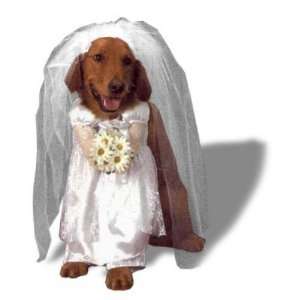  Pet Costume  Bride Dog (Large)