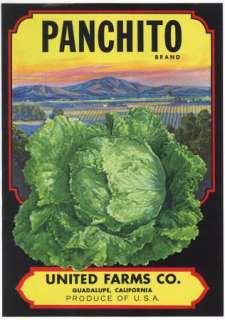 PANCHITO Guadalupe UNITED FARMS Lettuce VEG Crate Label  