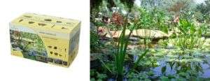 Planters Paradise EASY DIY pond/water garden kit w/pump/small/economy 