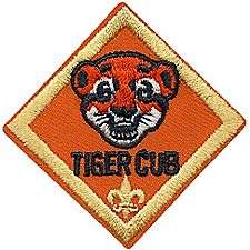 Cub Scout TIGER RANK Award Merit Badge Patch   Boy Scout BSA  