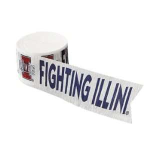   Illinois Fighting Illini Streamer   Balloons & Streamers & Streamers