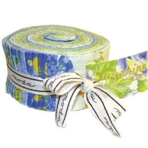  Sunshine Jelly Roll Assortment By The Each Arts, Crafts & Sewing