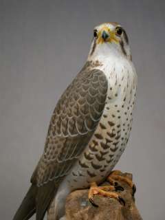 15 Prairie Falcon Orig Wood Bird Carvings/Birdhug  