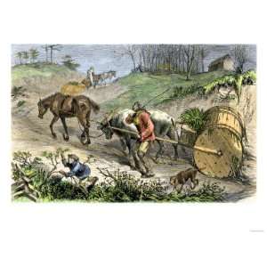  Bringing Tobacco to Market in Early Virginia Giclee Poster 