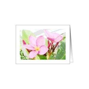  Pink Plumeria Flower,Blank Note Card Card Health 